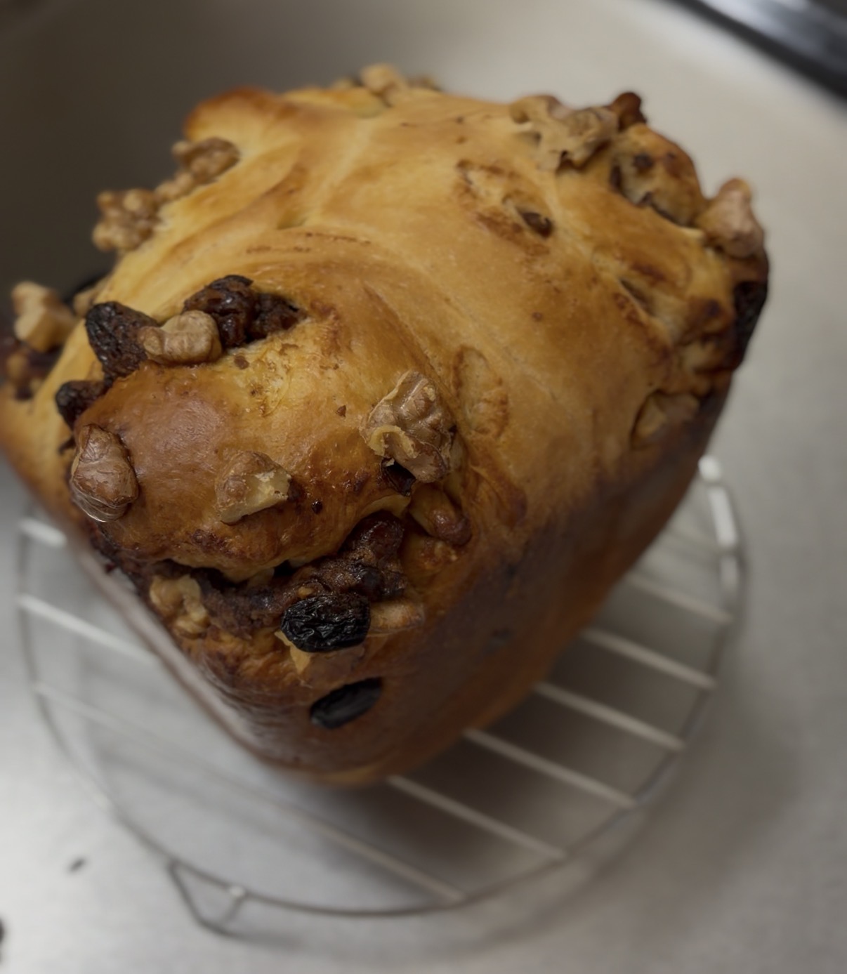 くるみレーズンあんロール　焼き上がり
